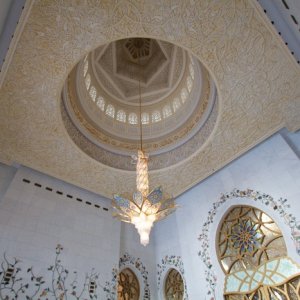 IMG 0389