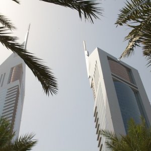 IMG 0451