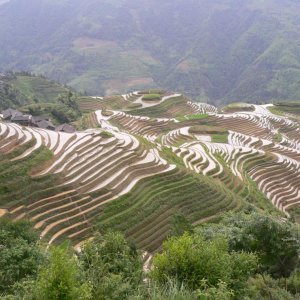 P1170691