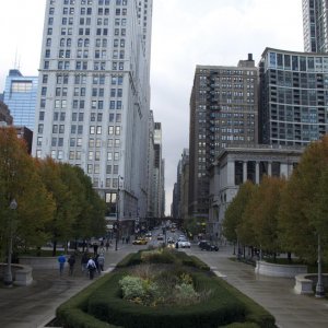DSC 0249