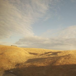 DSC 0449