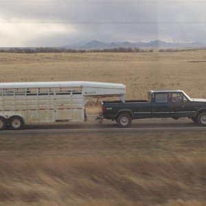 DSC 0016 4