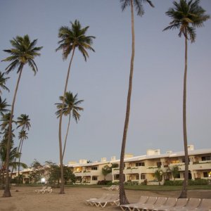 DSC 0026