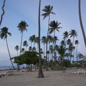 DSC 0003