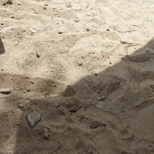 Pool Strand an diesen spitzen Steinen stößt man sich leider sehr häufig, unschön und schmerzt