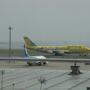 2010 07 Pokemon 1
