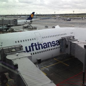 YC in FRA