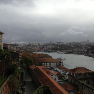 IMG 0384