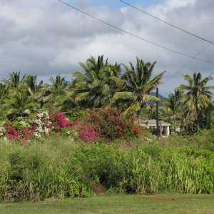 Kaua'i