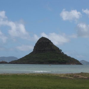 IMG 7252