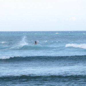 Surfin III