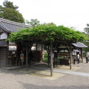 Am Park