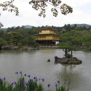 IMG 7781
