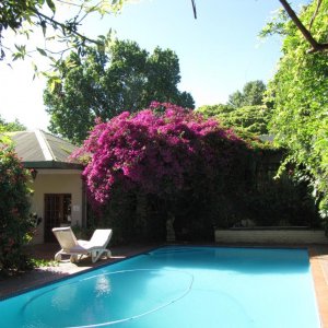 006_JoburgGuesthouse