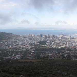 IMG 8734