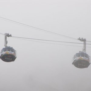 IMG 8739