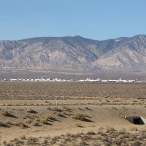 IMG 9261