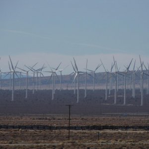 IMG 9267