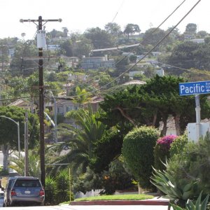 IMG 9551