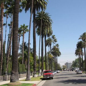 IMG 9603