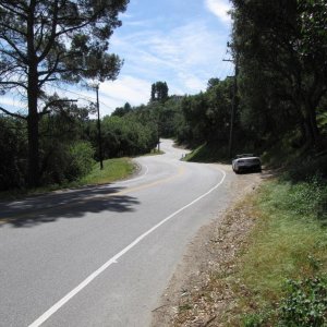 IMG 9755