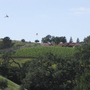 IMG 9819