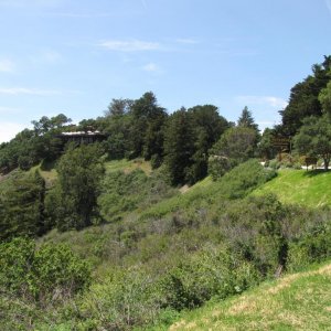 IMG 0009