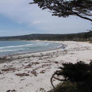 IMG 0076