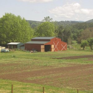 IMG 0355
