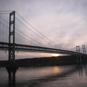 IMG 0456
