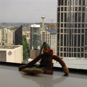 IMG 0463