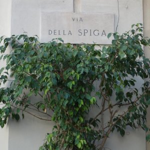 DSC03766