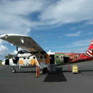 Die Twinotter von AuÃŸen am Flughafen von Moorea nach der Ankunft