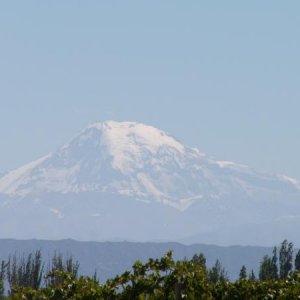 Mendoza / Blick auf die Anden