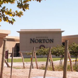 Mendoza / Weingut Norton