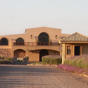 Mendoza / Weingut