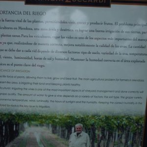 Mendoza / Weingut Zucchardi - Infoblatt