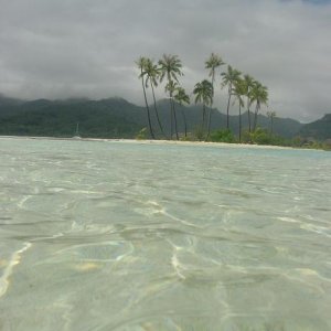 Naturpool