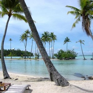 Tahaa