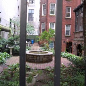 DSC 0533