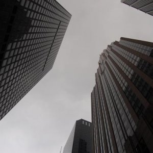 DSC 0502