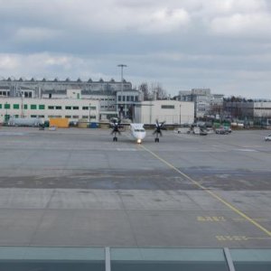 DSC 0333