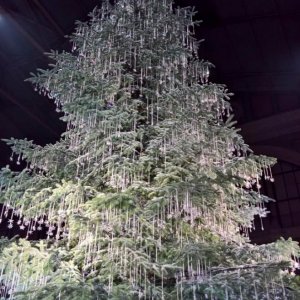 Weihnachtsbaum