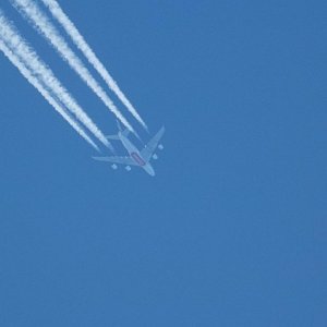 DSCF8179 1024