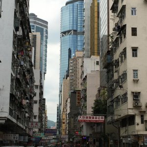 IMG 7195