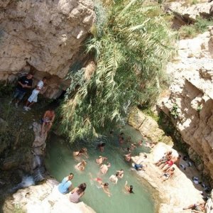 en gedi