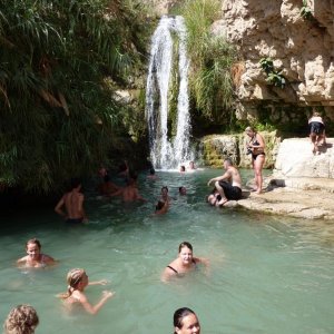 en gedi 2