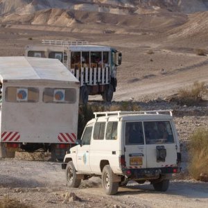 jeep tour true dessert