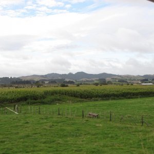 IMG 3718