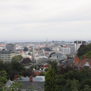 IMG 4125